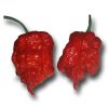 Chili termékek-chilimánia-Chili Hungária
