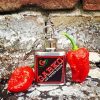 Hot-Pepper-szosz-flaska-kulcstarto-25ml Chili termékek-chilimánia-Chili Hungária