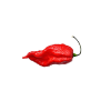 Chili termékek-chilimánia-Chili Hungária