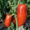 Chili termékek-chilimánia-Chili HungáriaChilion-