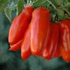 Chili termékek-chilimánia-Chili HungáriaChilion-