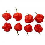 Chili termékek-chilimánia-Chili Hungária