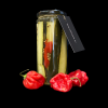 Chili termékek-chilimánia-Chili Hungária