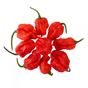 Chili termékek-chilimánia-Chili Hungária