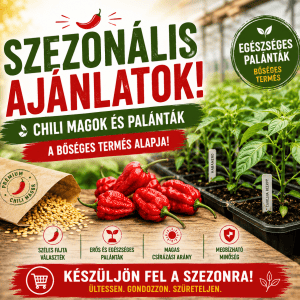 Palánták- chili paprika magok
