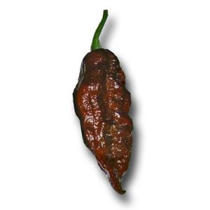 Chili termékek-chilimánia-Chili Hungária