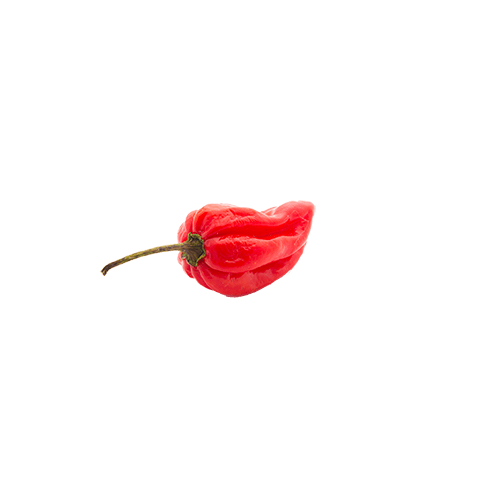Habanero Red Chili paprika mag /10 szem